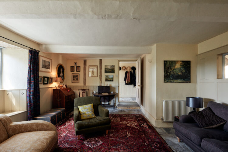 Meare rug