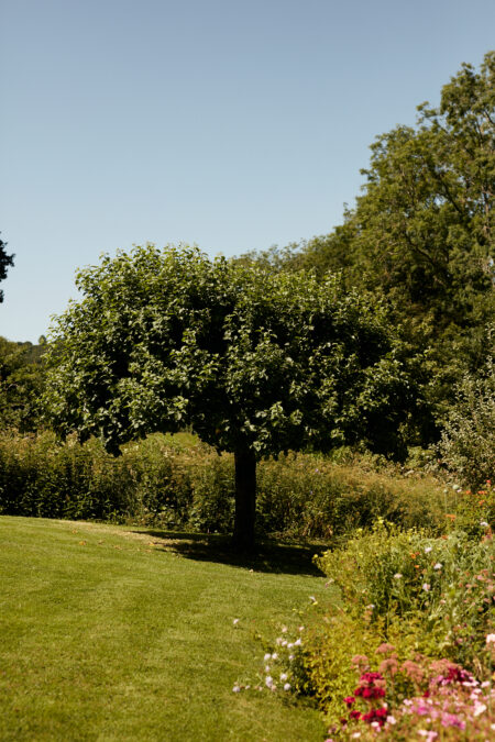Cottagecore: four idyllic homes from which to live out your arcadian fantasy