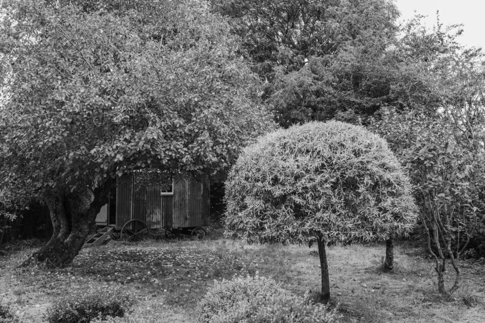 The Old Workshop - Image 1