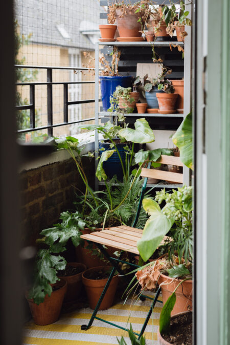 Inspiration of the Week: a beauty in the bloom of youth