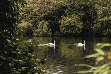 Local’s View: castles and counterculture in Deal