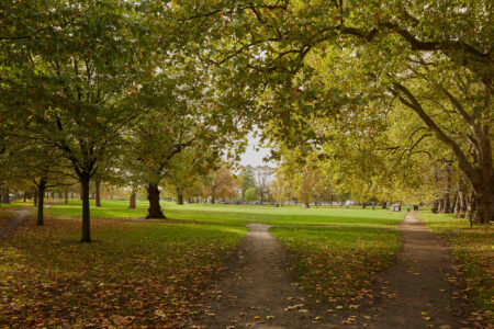 A Private View: a gallery of goodness at home in Clapham Common