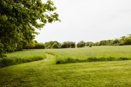 The Plot Thickens: six homes with glorious gardens for sale