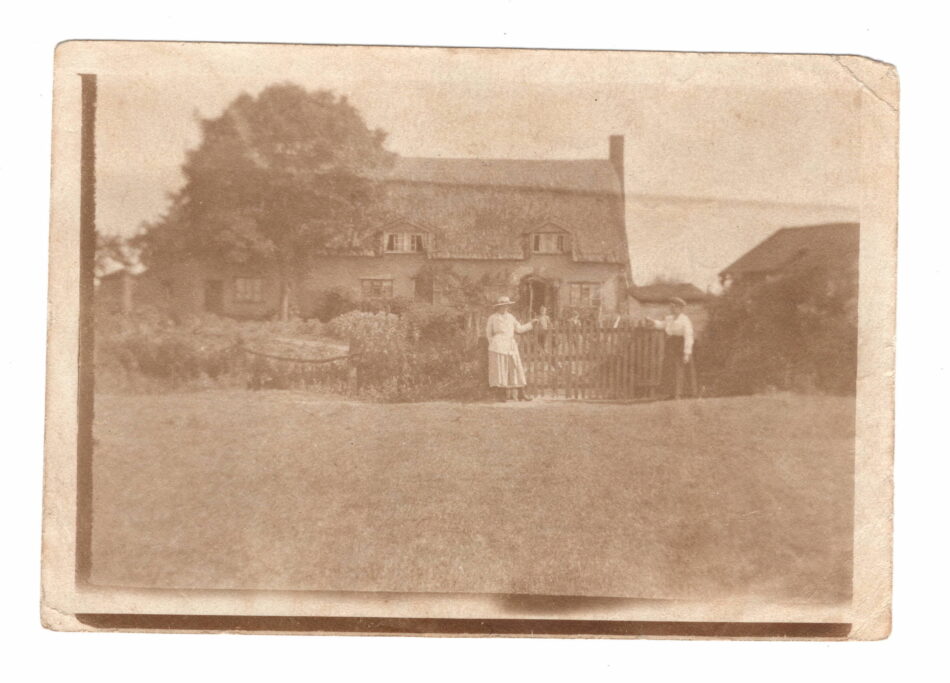 Walnut Tree Farm - Image 1