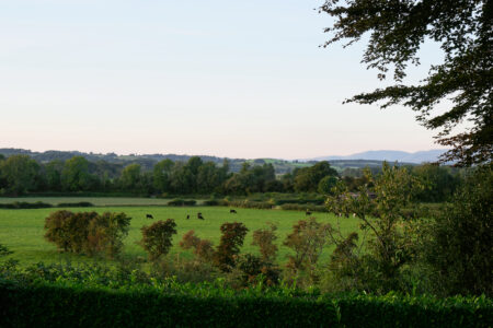 The Secret Garden: four homes with hidden verdant plots