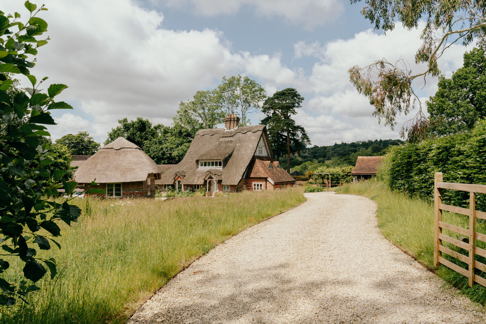 The Thatch - Image 1