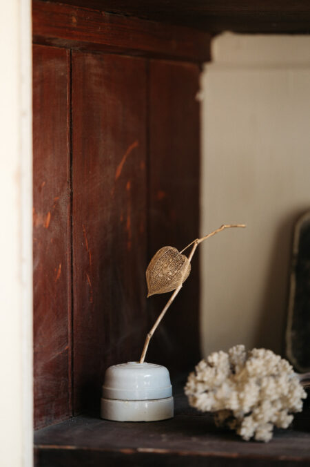 A Home with a History: an enchanting antique dealer’s shop and home, painted in nature's colours