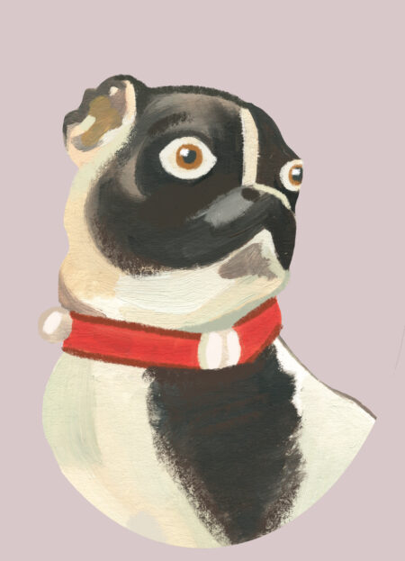 Home Comforts: Walid al Damirji on his penchant for porcelain and pugs