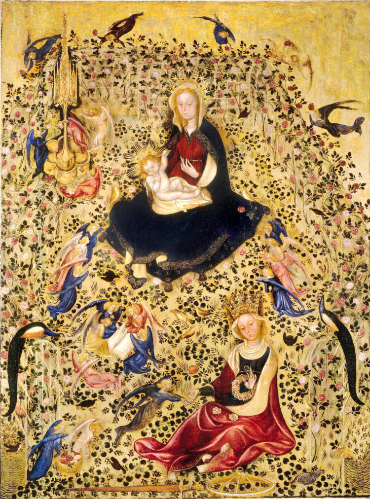 Rosa: story of the rose/Michelino de Besozzo