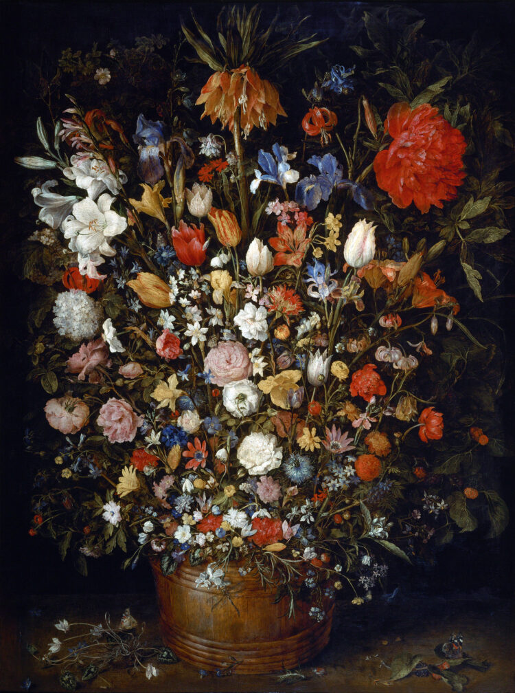 Rosa: story of the rose/Brueghel